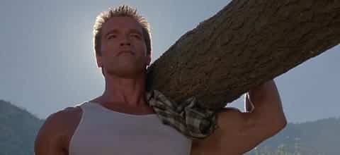 Blog Feature, Tough Guy Carrying Tree