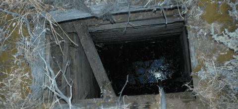 Dangerous Path, Blog Feature