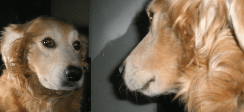 Self-Awareness - Safety's Best Friend, Blog Feature