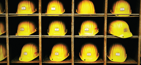 Personality and Safety-bf